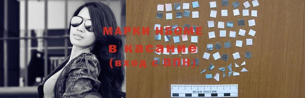 прущие грибы Инсар