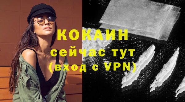 прущие грибы Инсар