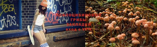 бутират Инта