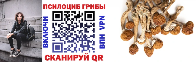 Купить  Невинномысск  Галлюциногенные грибы мухоморы 