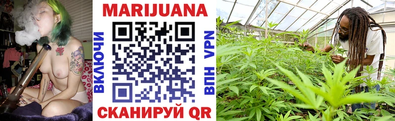 Конопля Bruce Banner  Купить где  Невинномысск 